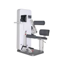 Dynamed Medical Pro Back Extension / Abdominal Flexion (Combitoestel)